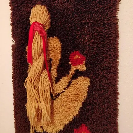 Apartmani Petkovic *