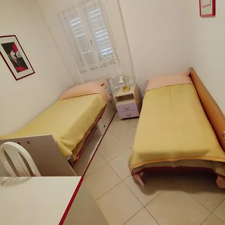 Apartmani Petkovic *