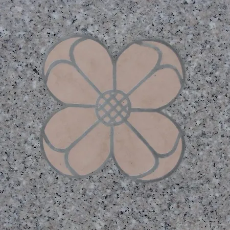 Petkovic דירה ז'אבוריץ'