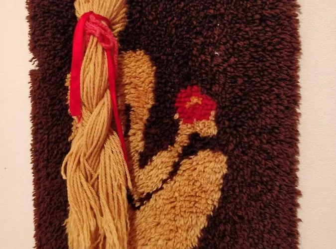 Apartmani Petkovic *