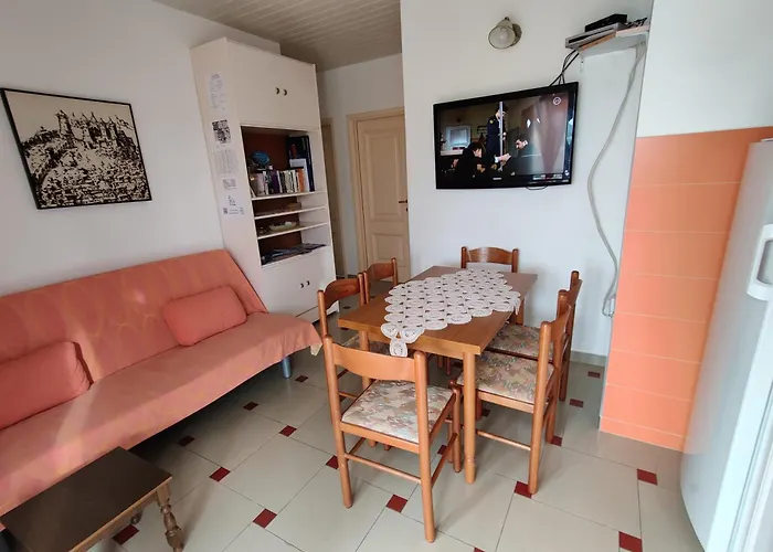 Apartment Apartmani Petkovic Zaboric