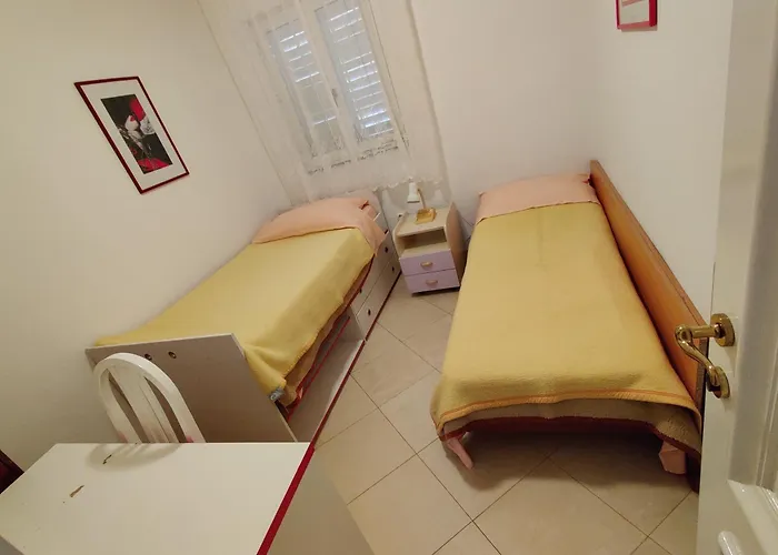 Apartmani Petkovic *