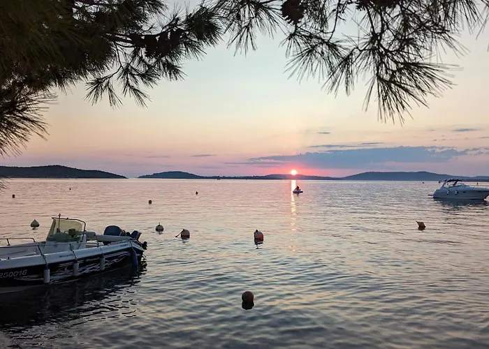 Apartmani Petkovic *