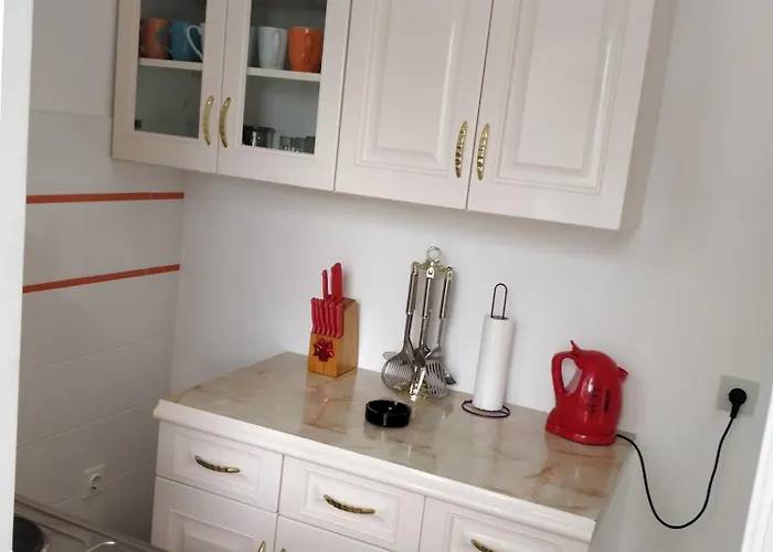 Apartment Apartmani Petkovic Zaboric