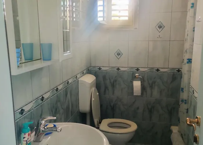 Apartmani Petkovic *